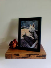 Load image into Gallery viewer, Set of 3 live-edge black walnut wall shelves