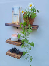 Load image into Gallery viewer, Set of 3 live-edge black walnut wall shelves
