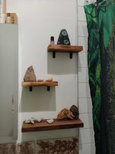 Load image into Gallery viewer, Set of 3 live-edge black walnut wall shelves
