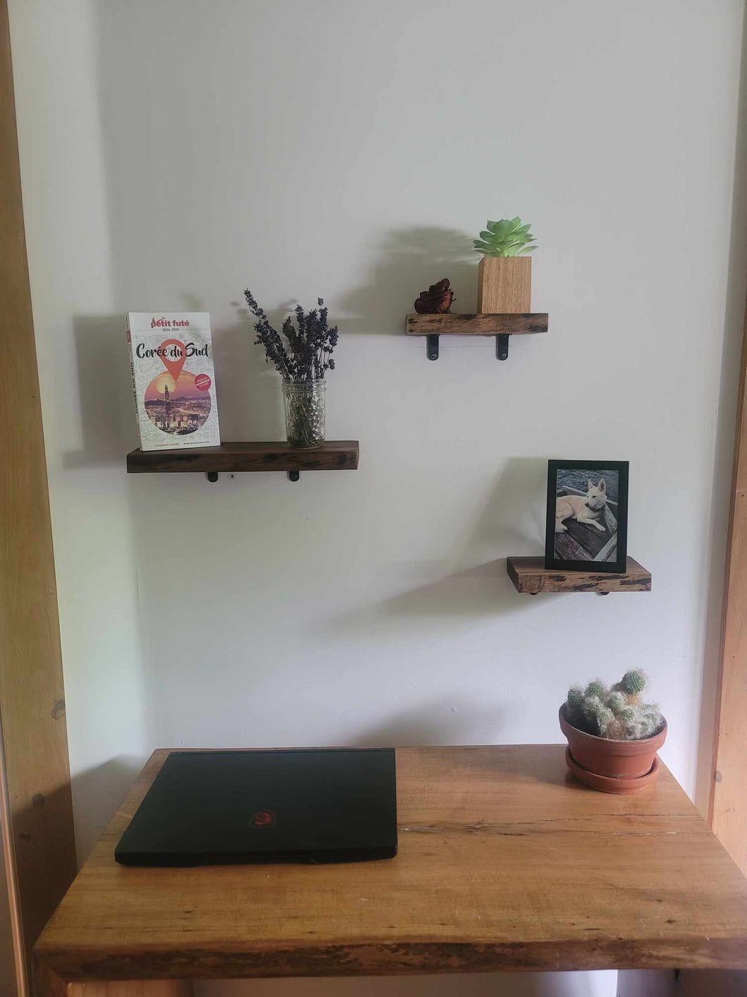Set of 3 live-edge black walnut wall shelves